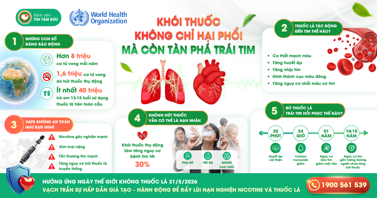 Hút thuốc lá không chỉ gây hại phổi mà còn âm thầm tấn công tim mạch