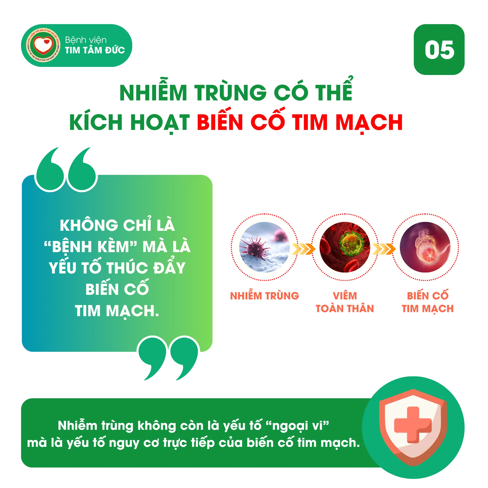 Nhiễm trùng có thể kích hoạt biến cố tim mạch