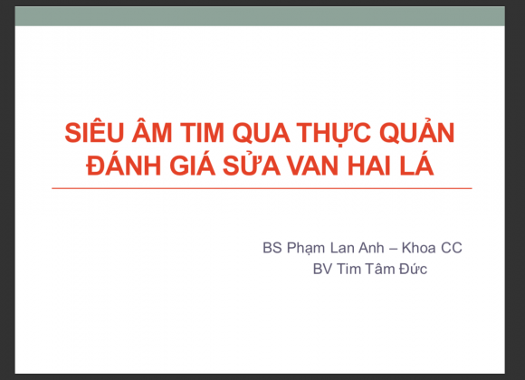 Siêu âm tim qua thực quản đánh giá sửa van 2 lá