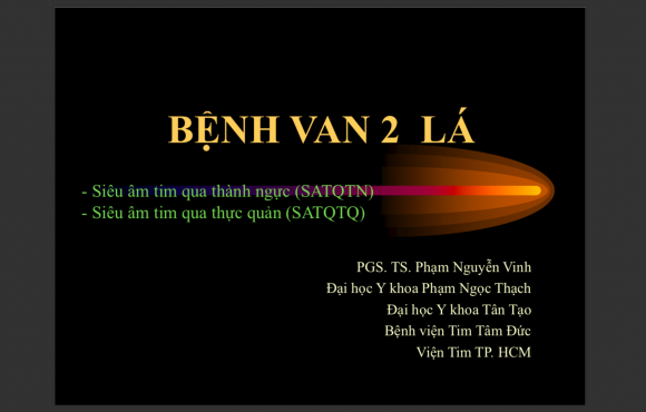 Bệnh van 2 lá