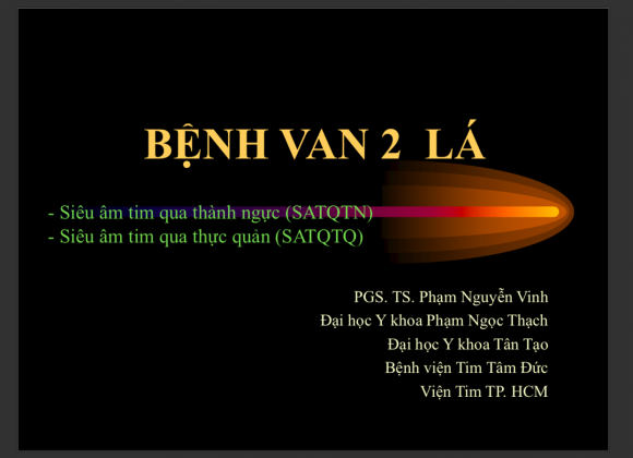 Bệnh van 2 lá