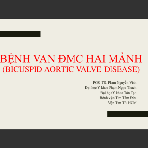 Bệnh van ĐMC hai mảnh (Bicuspid aortic valve disease)