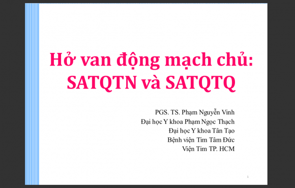 Hở van động mạch chủ: SATQTN và SATQTQ