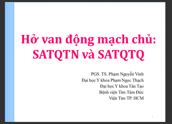 Hở van động mạch chủ: SATQTN và SATQTQ