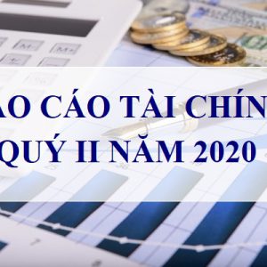 Báo Cáo Tài Chính Quý 2 Năm 2020