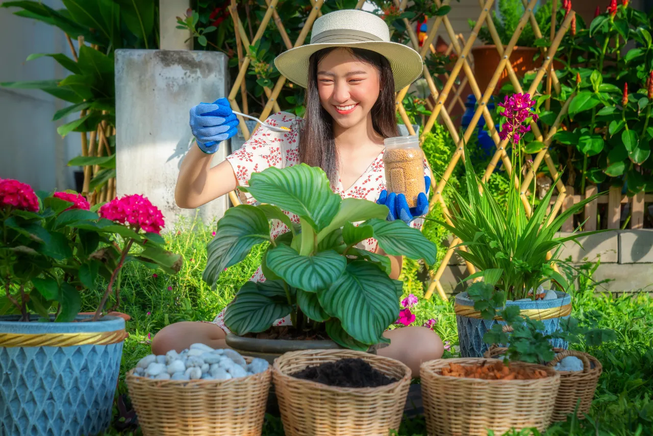 Một buổi sáng bình dị dưới nắng, đủ khiến tâm trạng rạng rỡ hơn rất nhiều