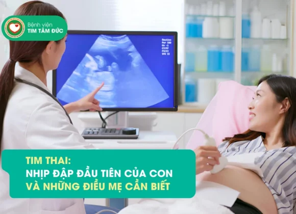 tim thai là gì